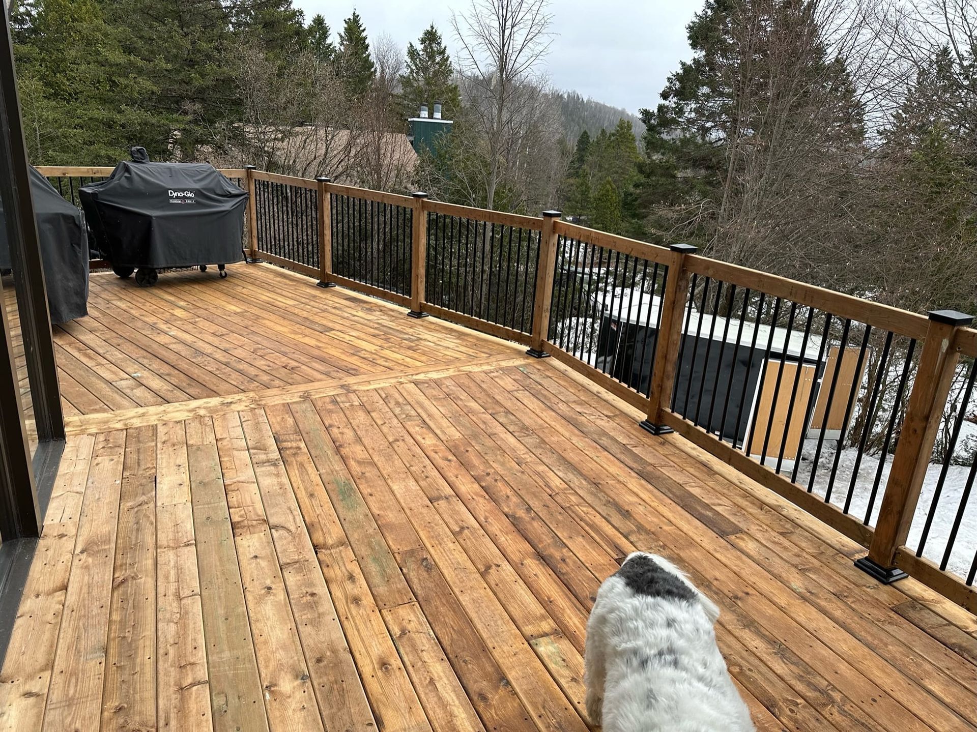 Un chien se tient debout sur une terrasse en bois avec une balustrade en métal.