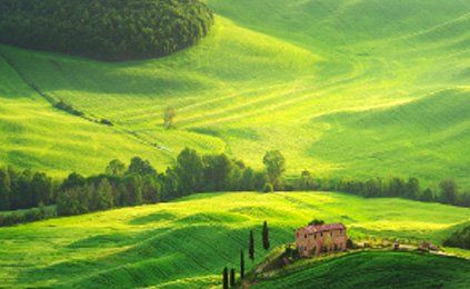 A house is sitting on top of a hill in the middle of a green field.