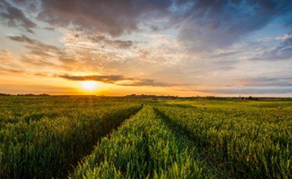 Friendswood Behavioral Health psychiatrist services and tms therapy clinic help for depression and anxiety gallery