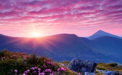 The sun is setting over the mountains with flowers in the foreground.
