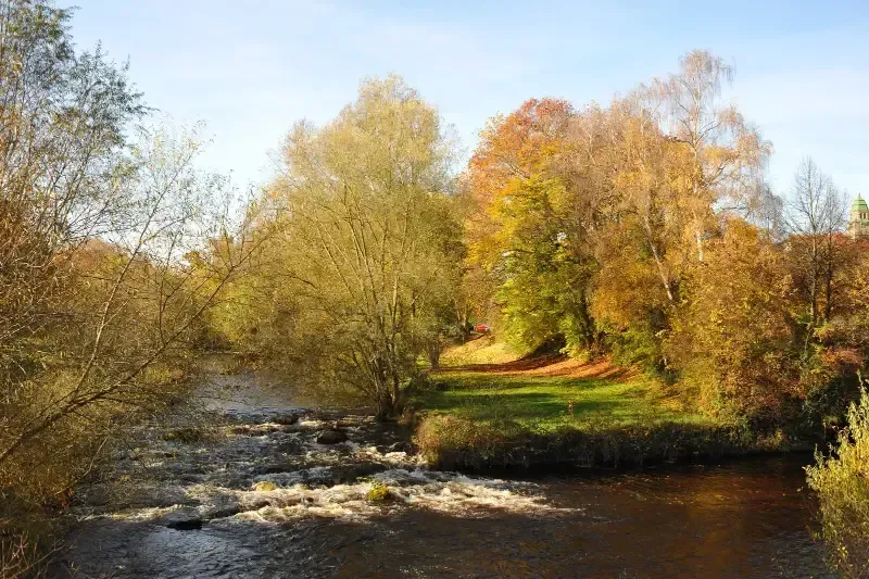 Autumn river with rocky rapids, grassy banks, and trees in yellow and orange foliage