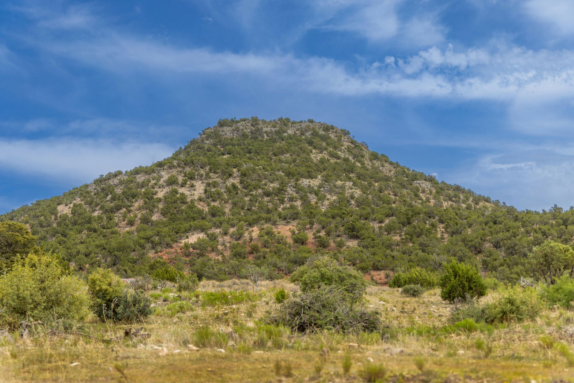 A mountain or hill in Texas with trees on it and a blue sky in the background.