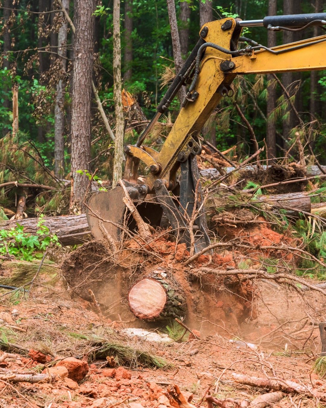 Yellow excavator removing a tree trunk from a wooded area, disturbing the soil.
