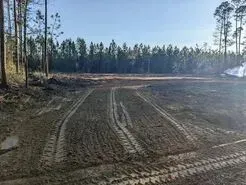 Dirt road with tire tracks leading to a cleared area near a forest under a blue sky.