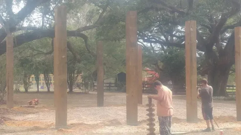 Men installing wooden posts in a yard; large tree in background.