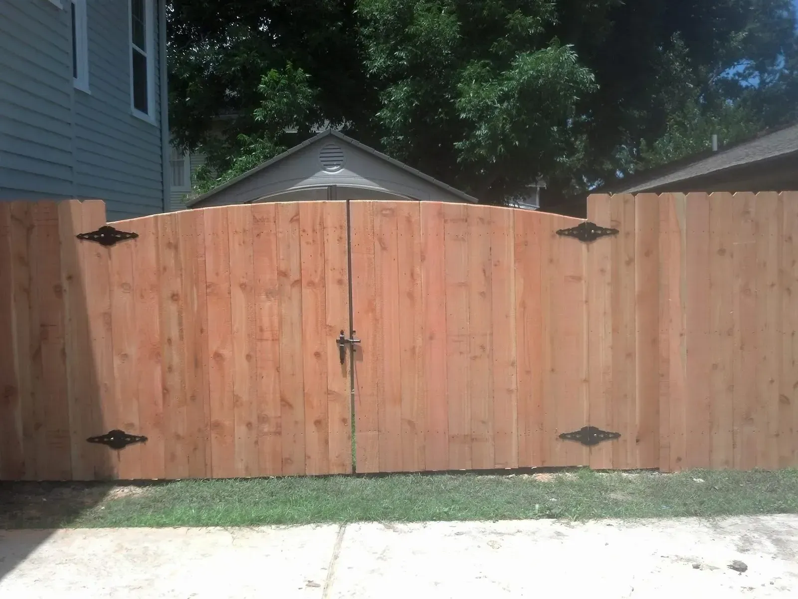 Wooden gate in a cedar fence with decorative black hardware. Background has trees and buildings.