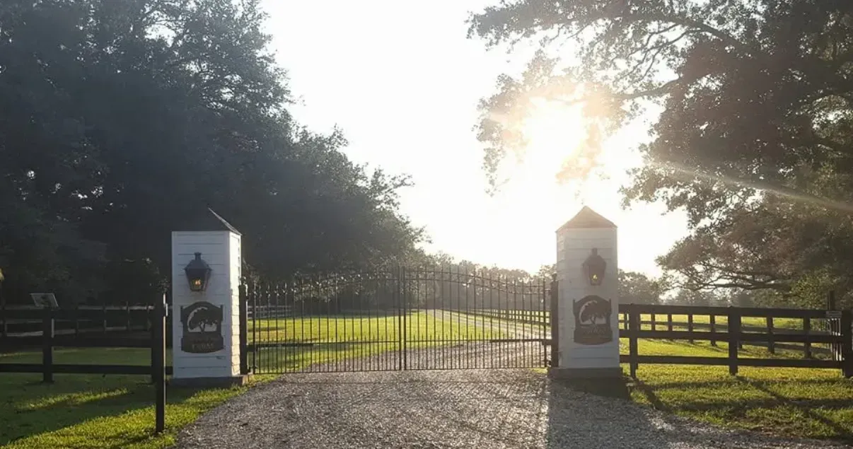 Iron gate entrance with tall white pillars, fence, and bright sunlight.