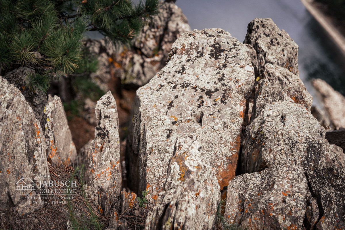 Black Hills South Dakota Geology Example Near Pactola Lake