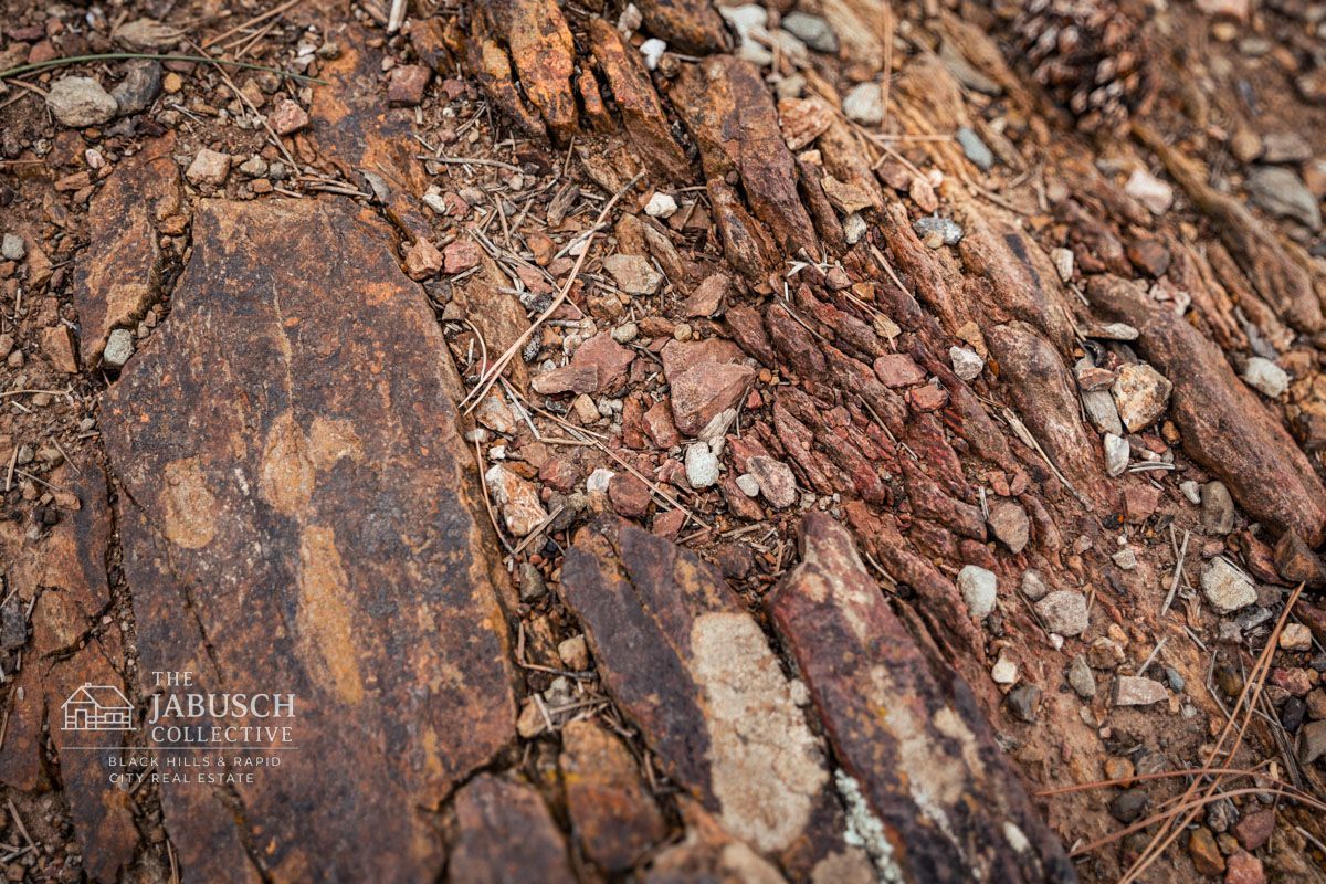 Geology of The Black Hills South Dakota near Hermosa