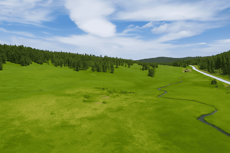 Land in the Black Hills For Sale