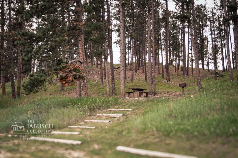 Picknicking spots at Sheridan Lake, Hill City, SD