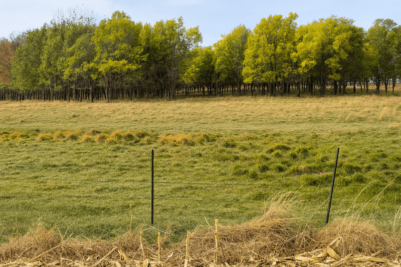 Ranch land in the Black Hills For Sale