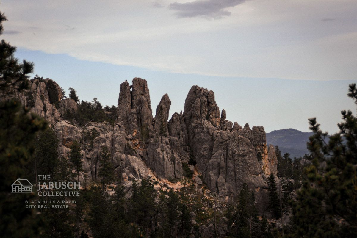 A mountain off of Needles Highway in Custer State Park with a lot of rocks and trees 