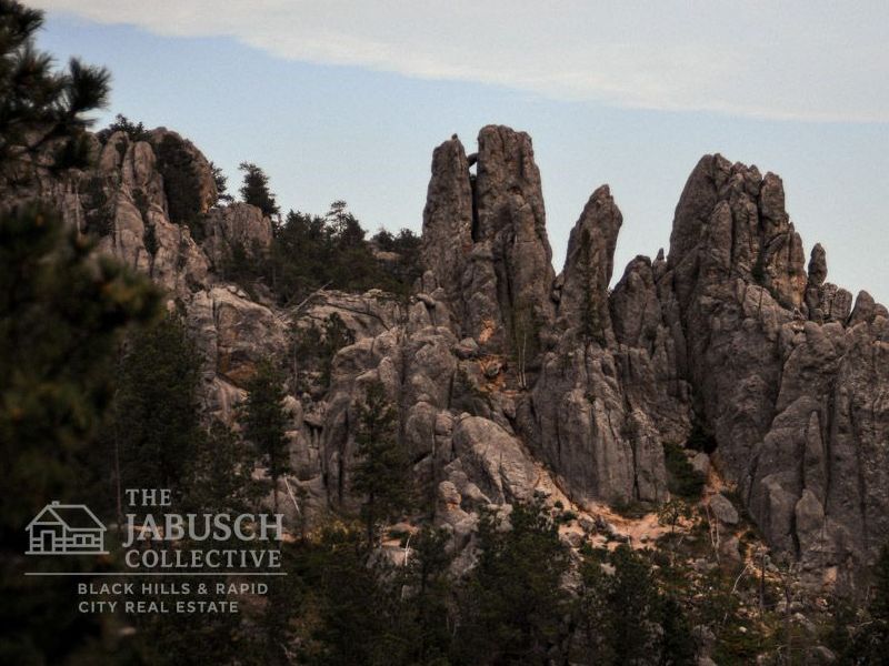 Things to do in Custer State Park thumbnail