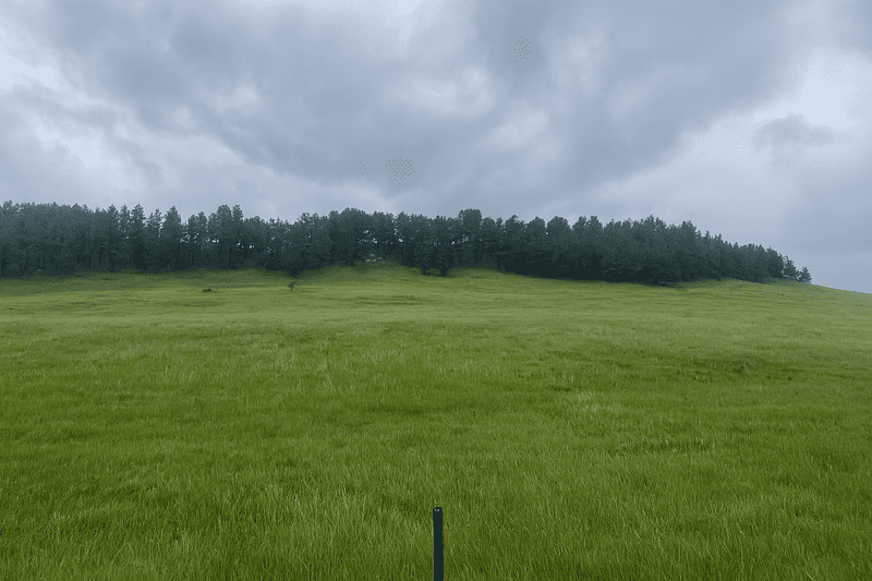 Green field with a line of trees under a cloudy sky.
