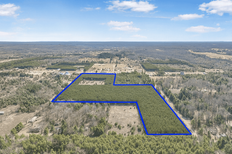 Off-grid land for sale in the Black Hills, SD