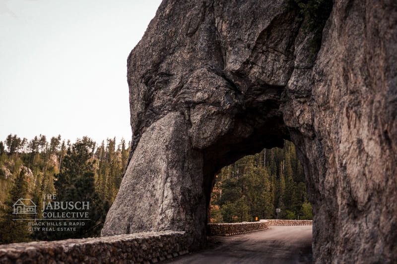 One of many tunnels in Needles Highway 