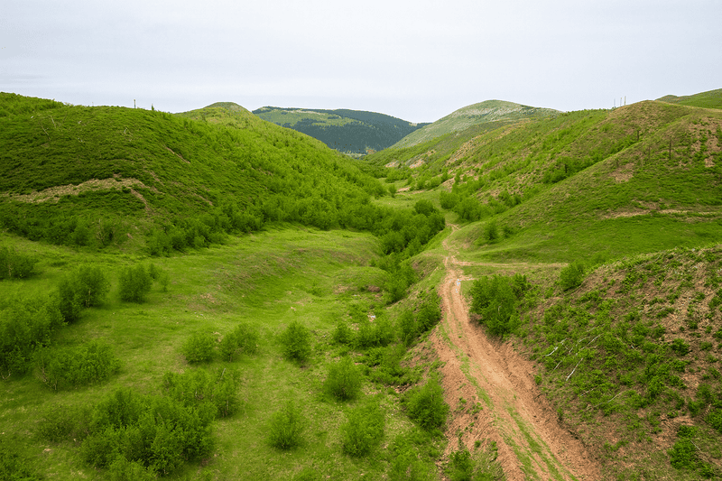 Unimproved land for sale in the Black Hills, SD