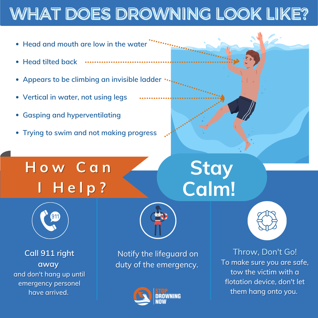 Howey's Island Comics