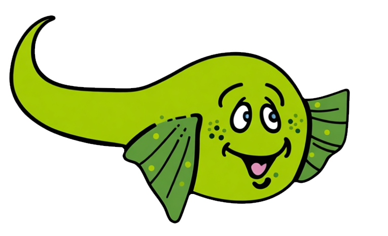 Timmy tadpole safer 3