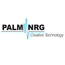 Palm NRG logo
