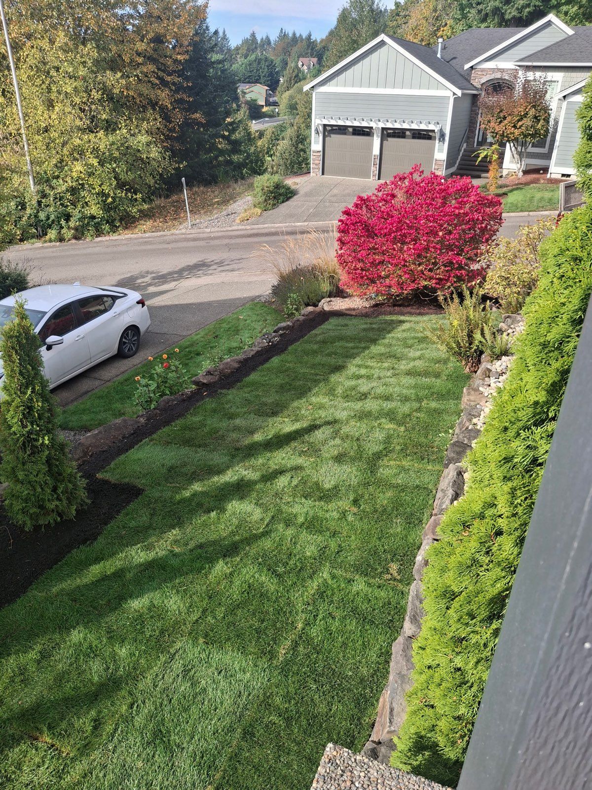 Green lawn with red bush, garage, and a white car on a sunny day.