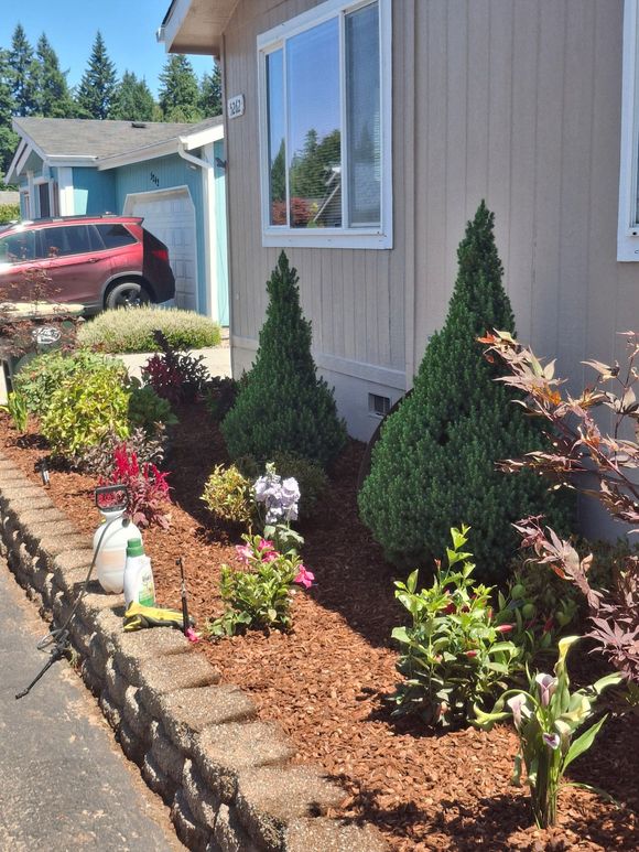 Well-maintained front yard garden bed with various plants and mulch, near a light-colored house.