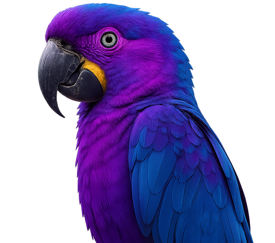 Un pappagallo viola e blu con il becco giallo