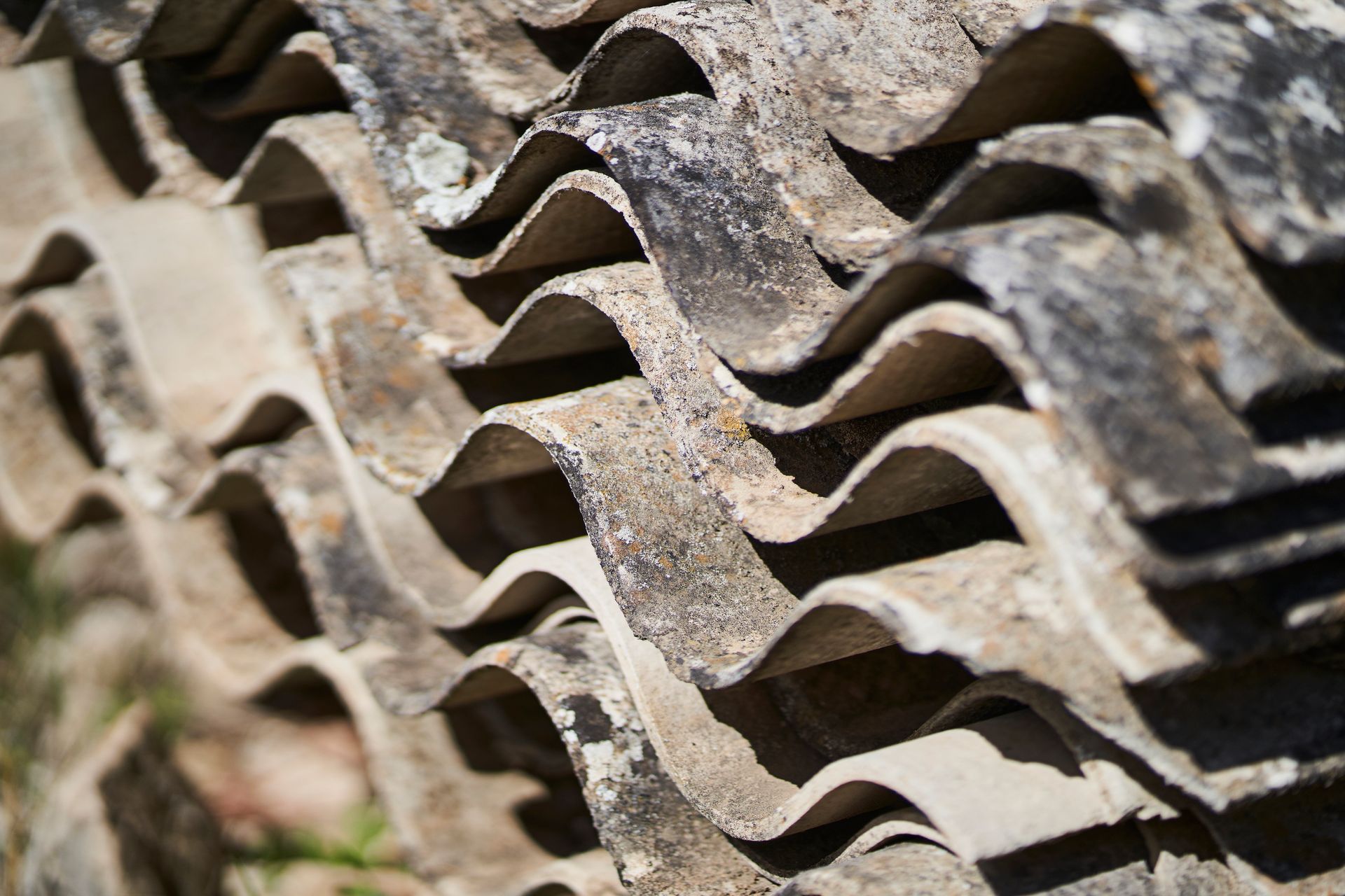 Pond & Lagoon Cleanouts