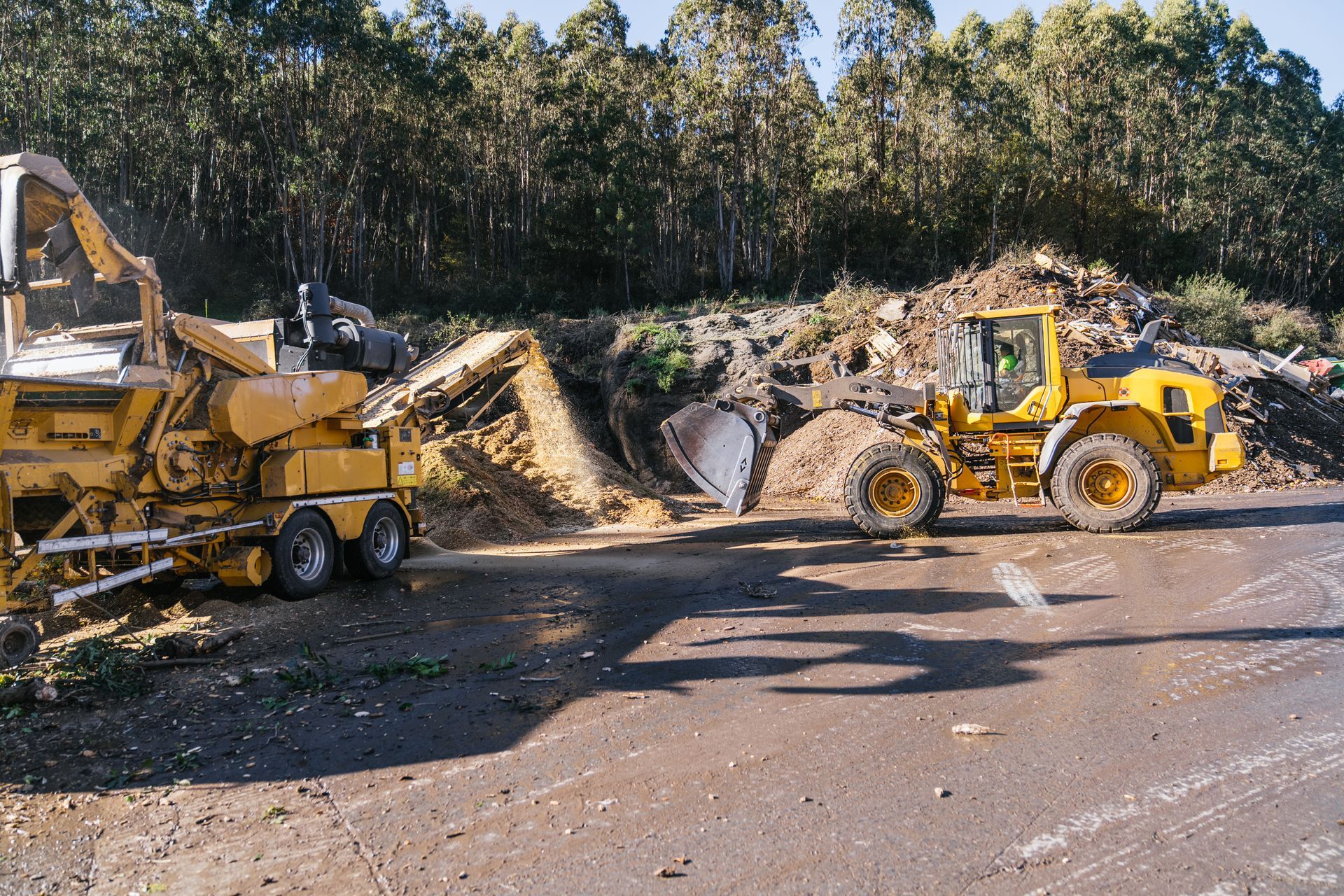 Wood chipping and processing of industrial wood waste as part of recycling and material recovery services