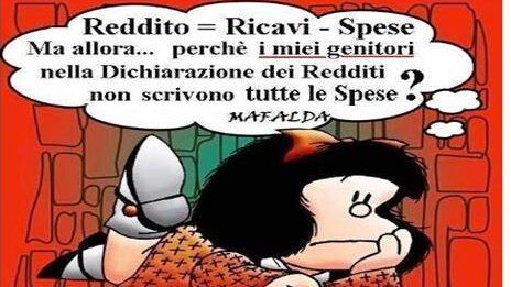 Una vignetta di una donna con un fumetto che dice reddito = entrate spese