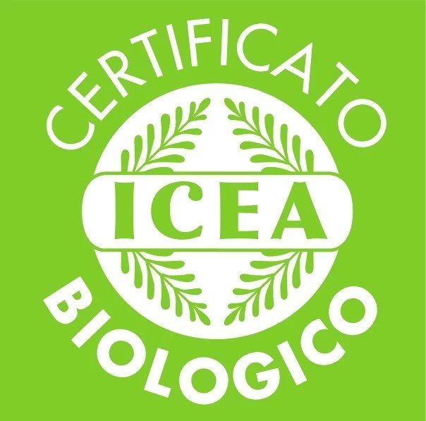 certificato icea - logo