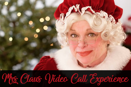 Live Video Call with Mrs Claus