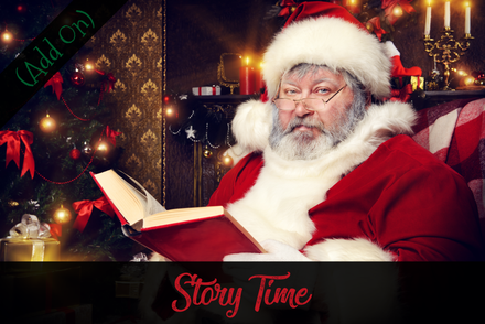 Santa Story Time - Online Video Call