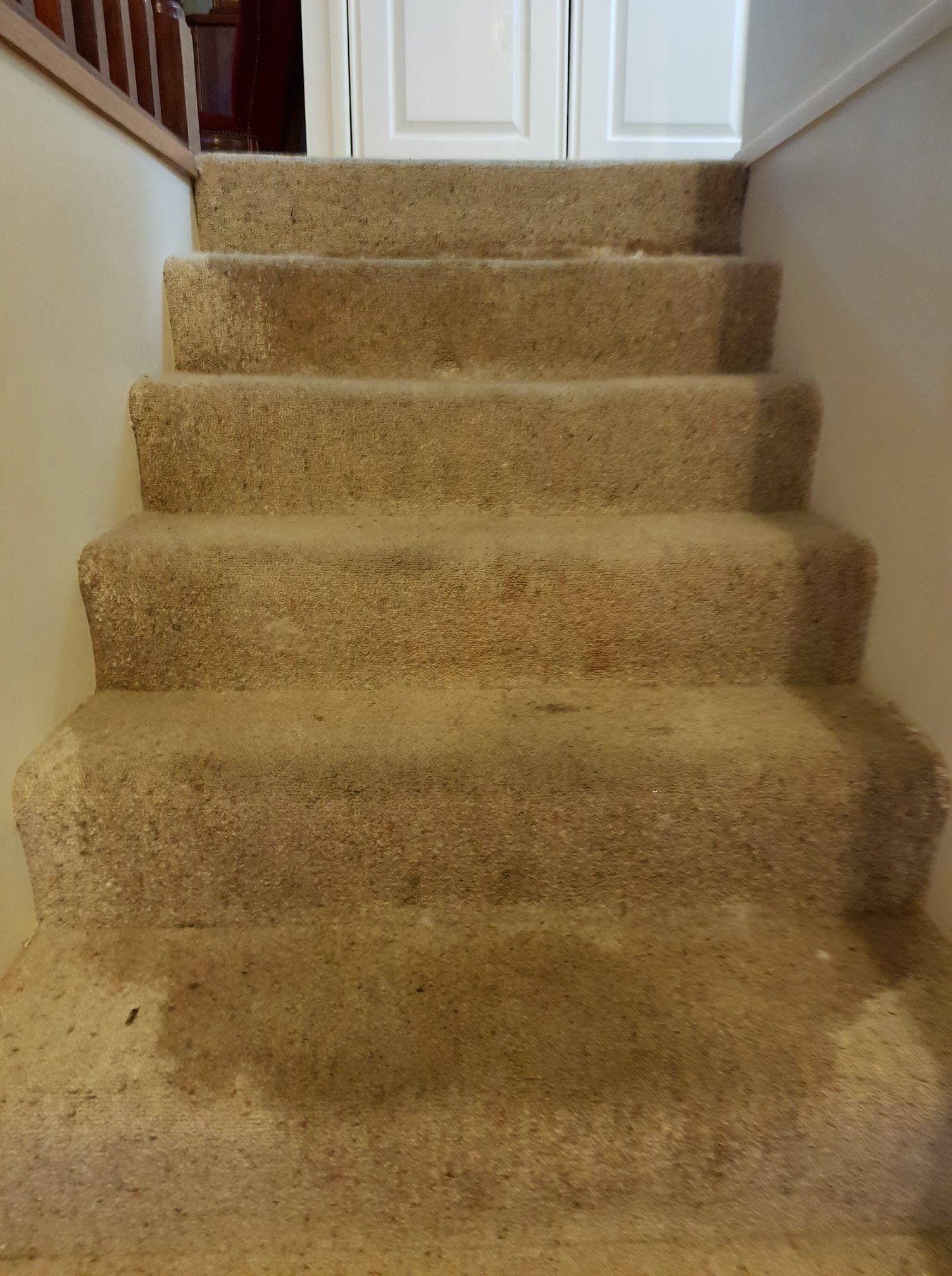 Carpeted staircase leading to a white door at the top, viewed from the bottom. — Revive Cleaning & Restoration in Yeppoon, QLD 