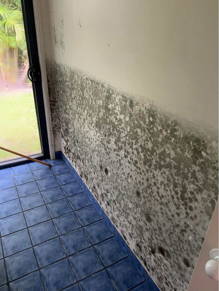 Tidy And Clean Living Room