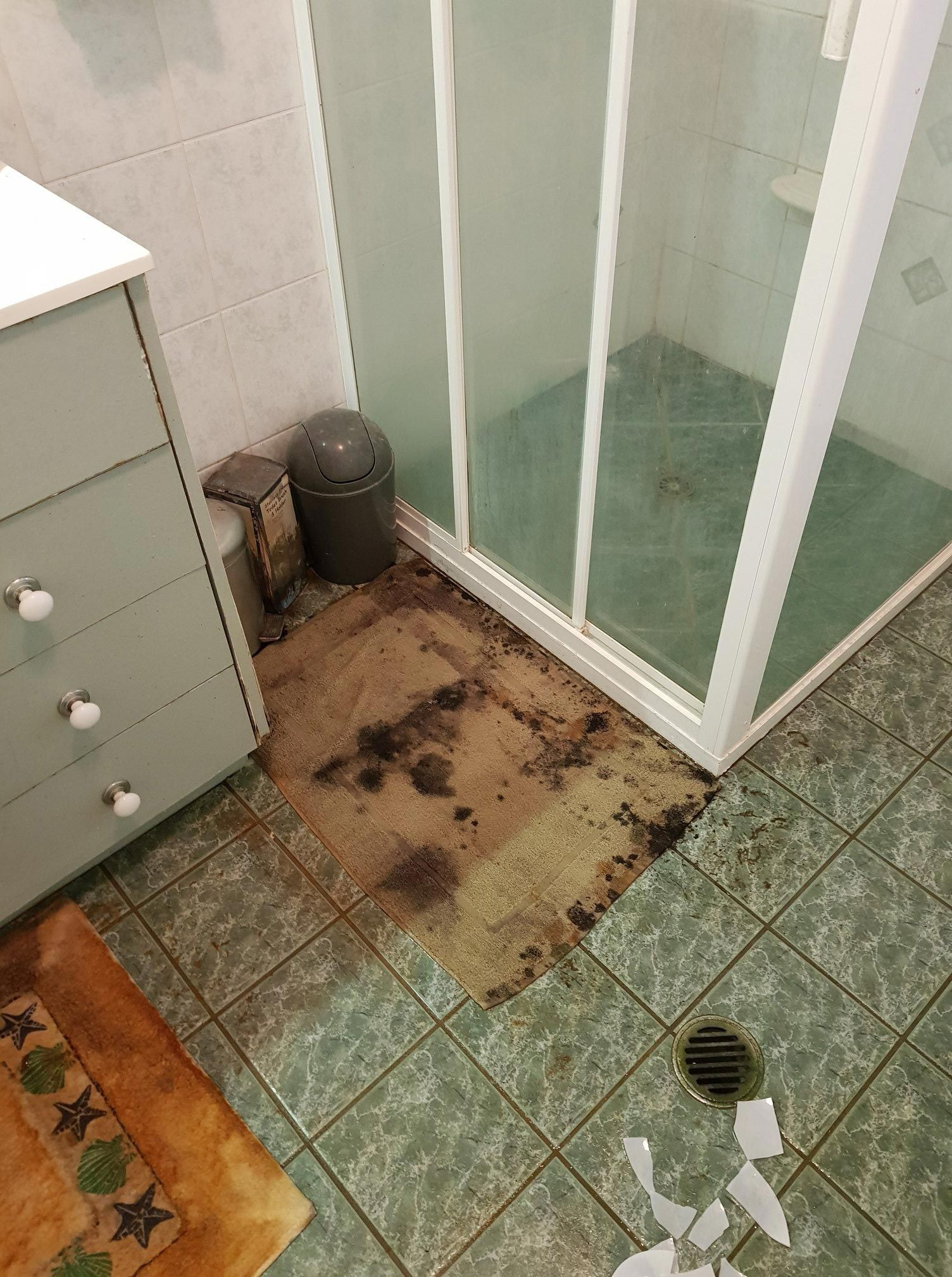 Moulds On The Bathroom