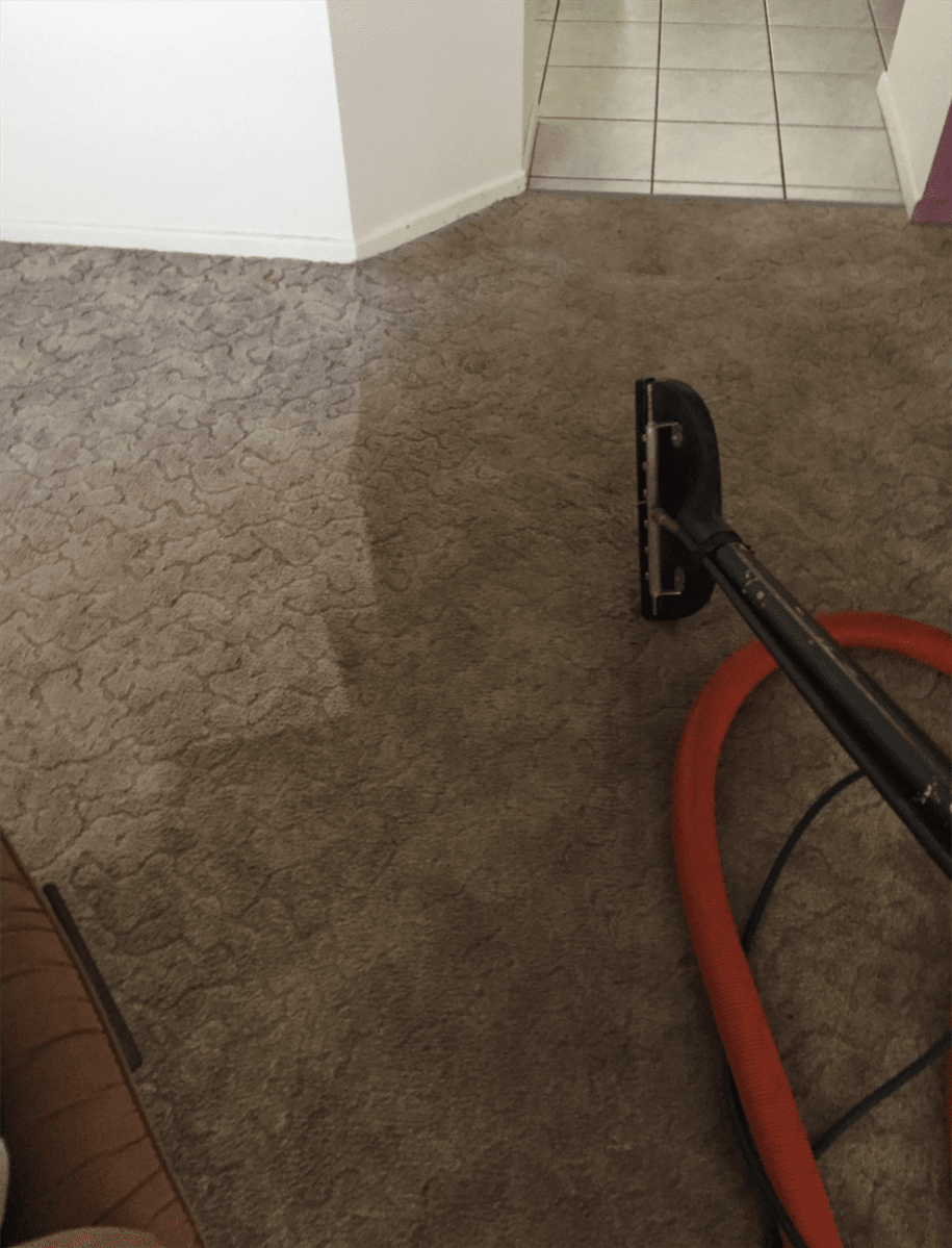 Cleaning Carpet With Vacuum Cleaner — Cleaning Service in Yeppoon,QLD