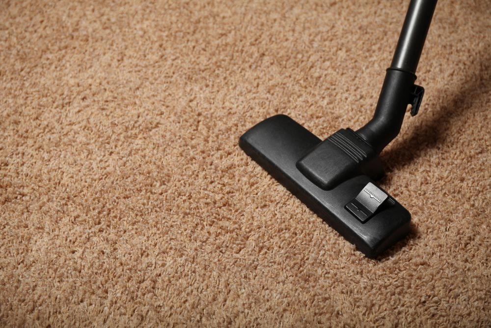 Vacuuming Brown Carpet