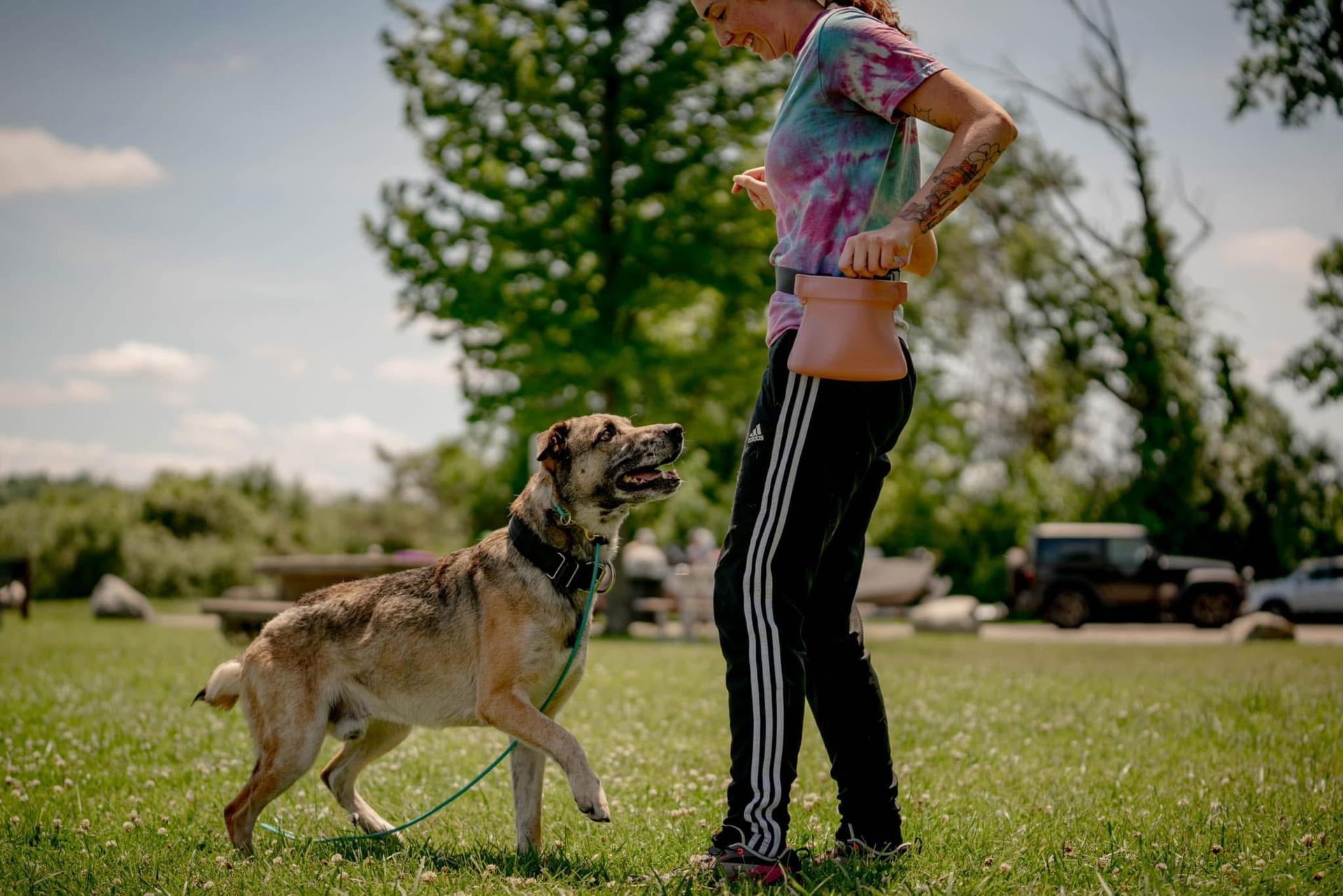A woman is walking a dog on a leash in a park.