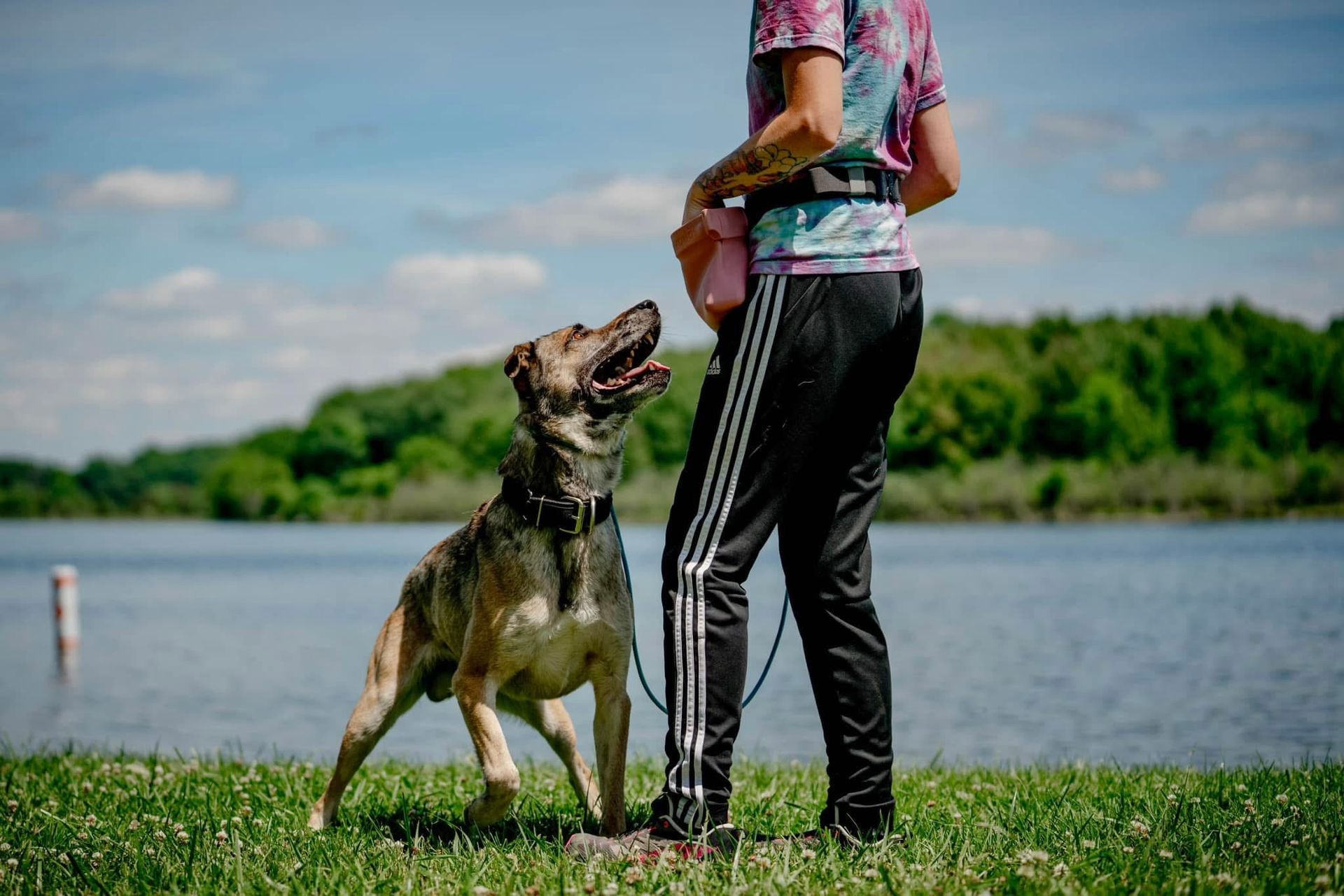 A woman is standing next to a dog on a leash in front of a lake.
