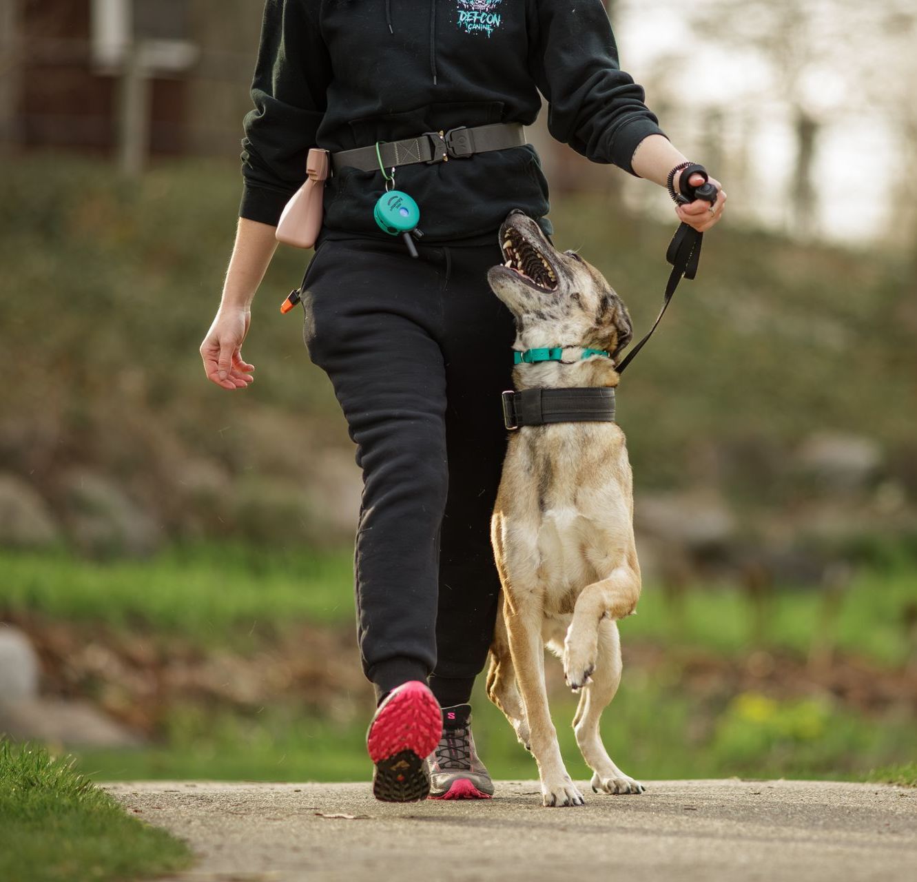 A man is walking a black and white dog on a leash.