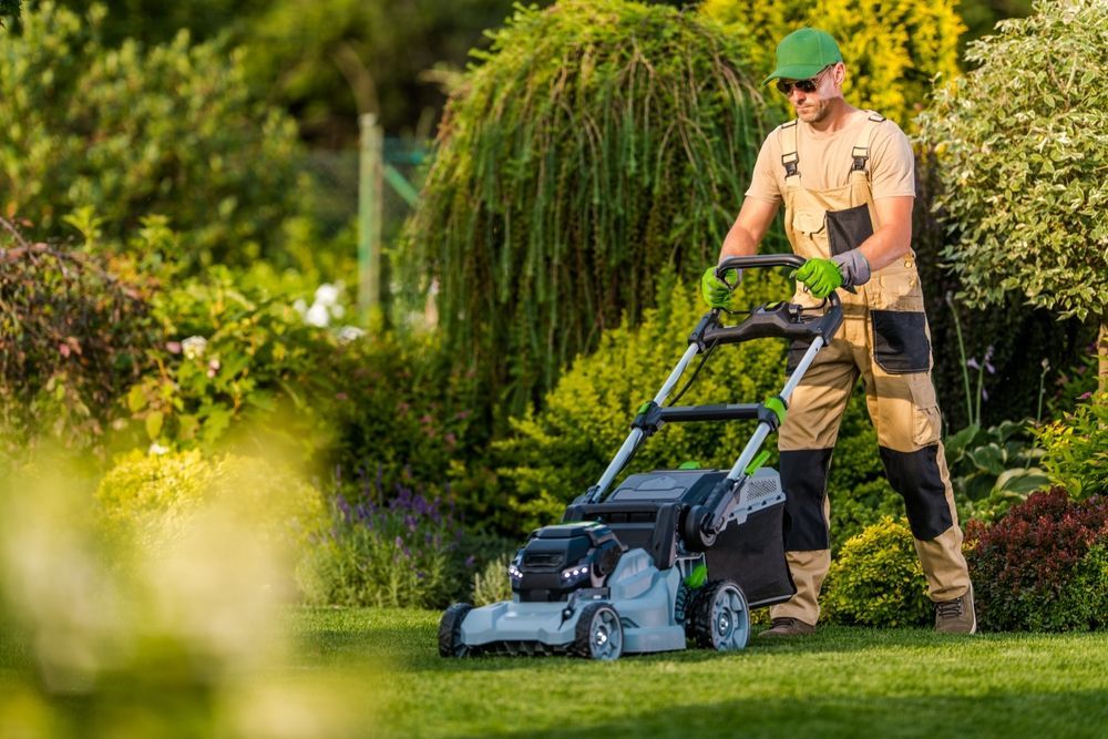 A man is standing next to a lawn mower in a garden.