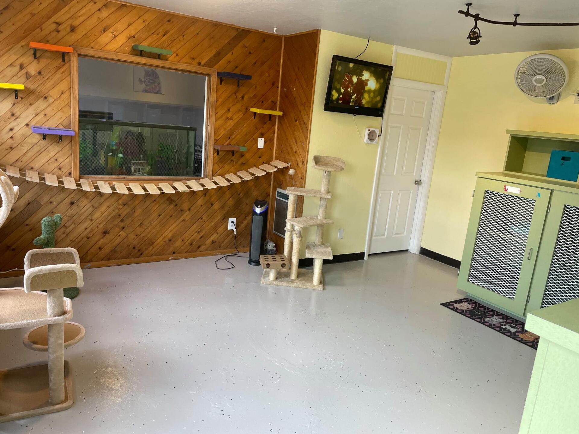 Room of cat obstacles and towers