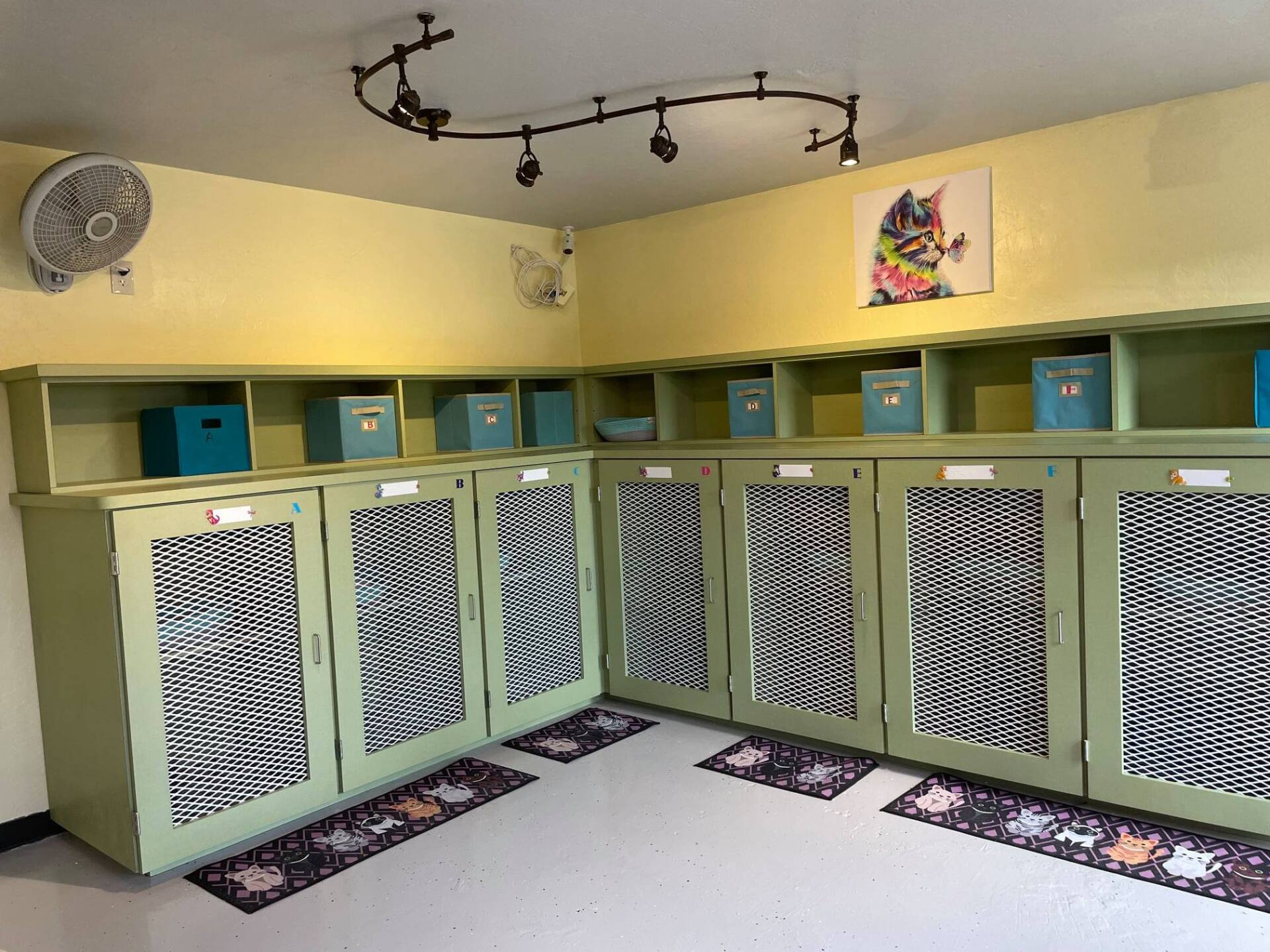 pet kennels