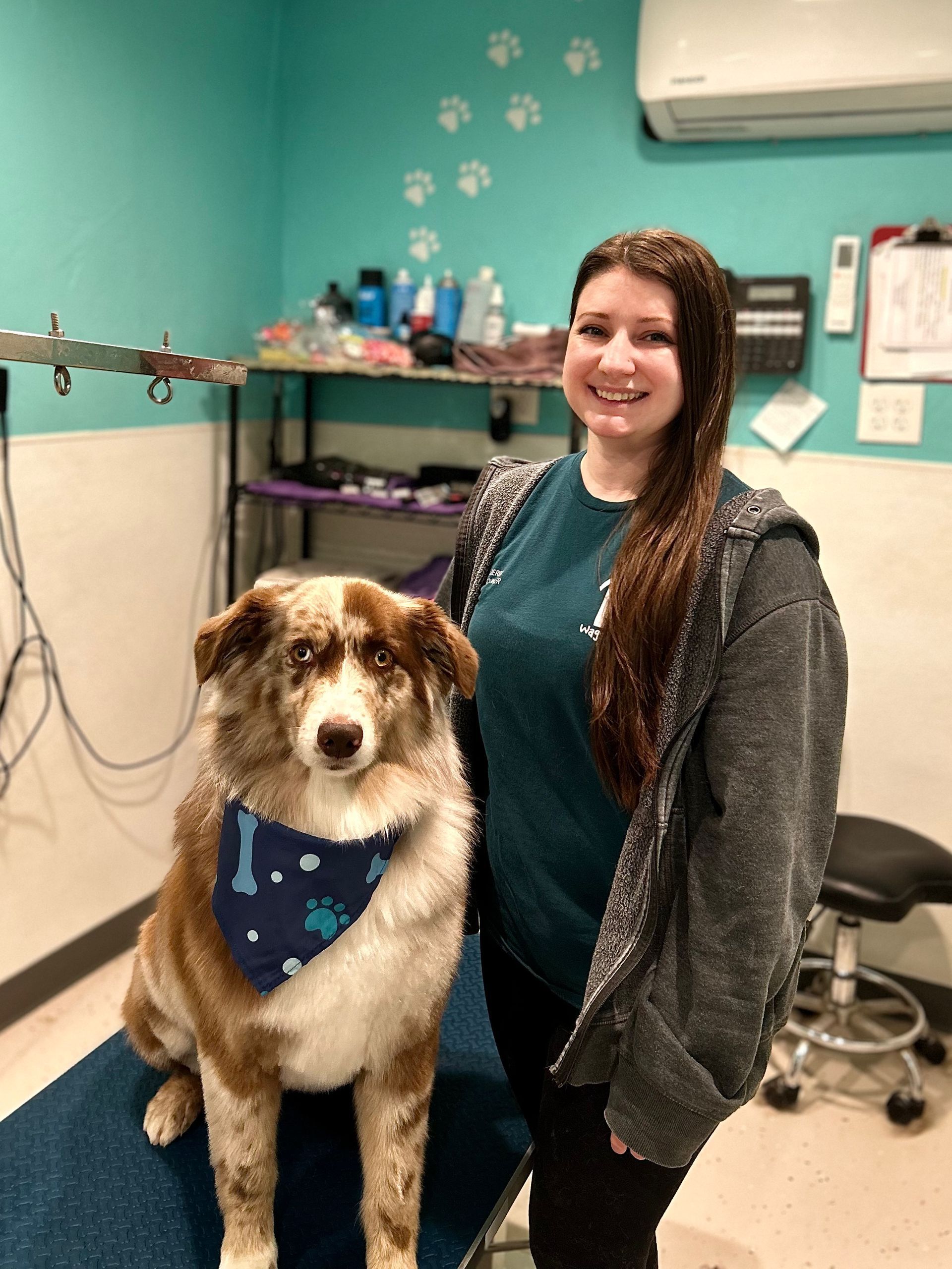 Grooming picture before and after