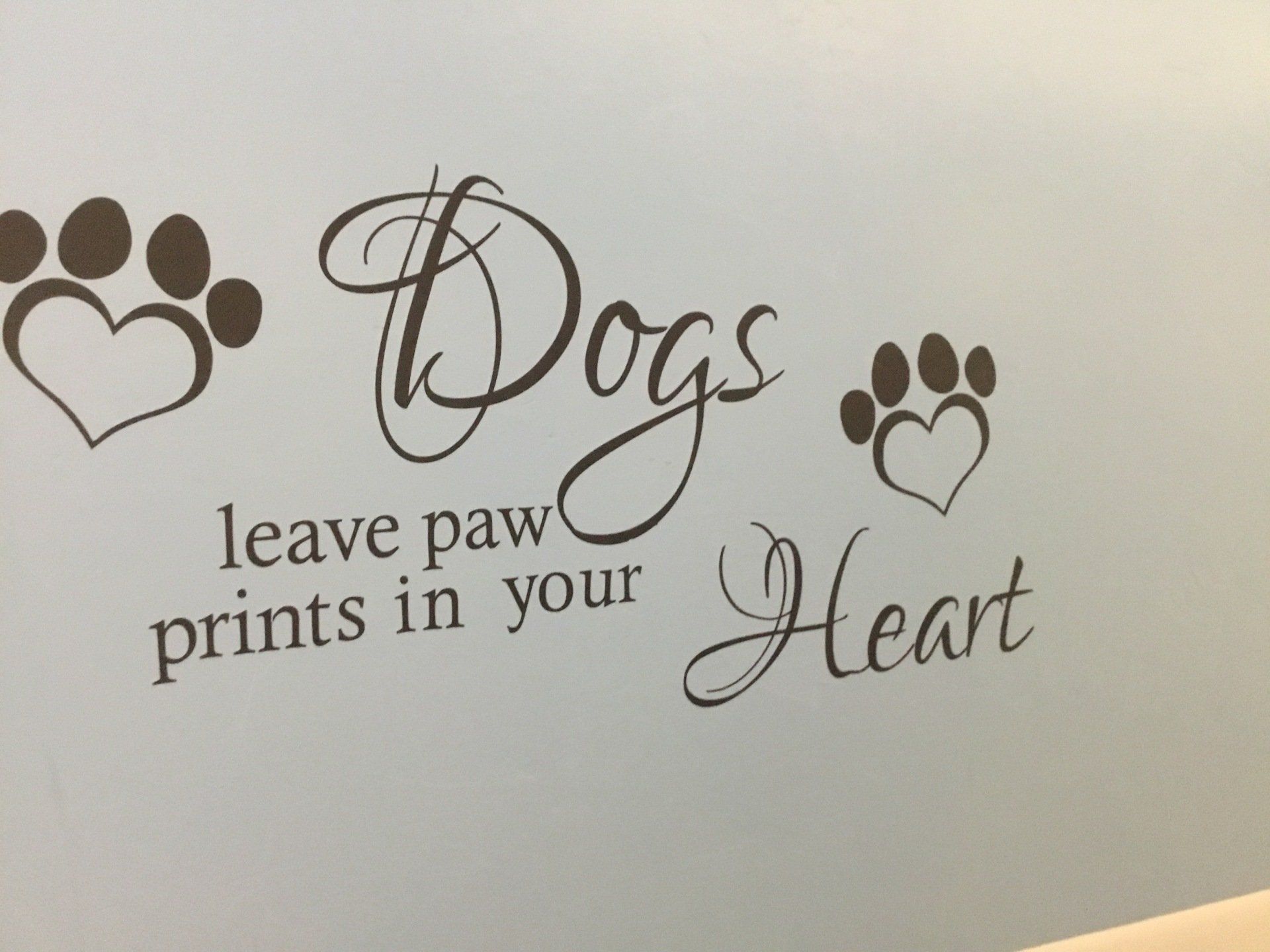 Dogs leave paw prints in your heart