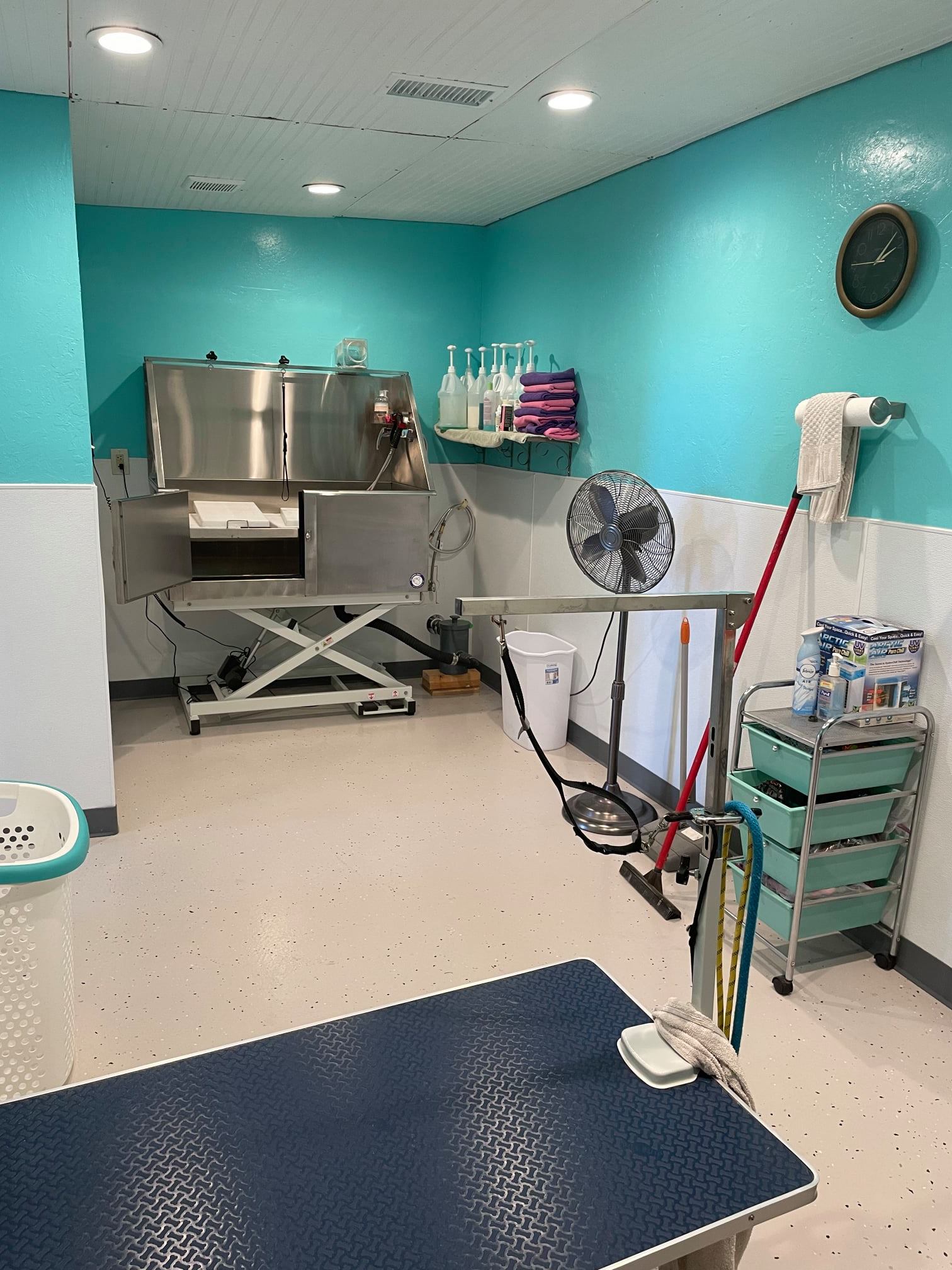 Grooming room