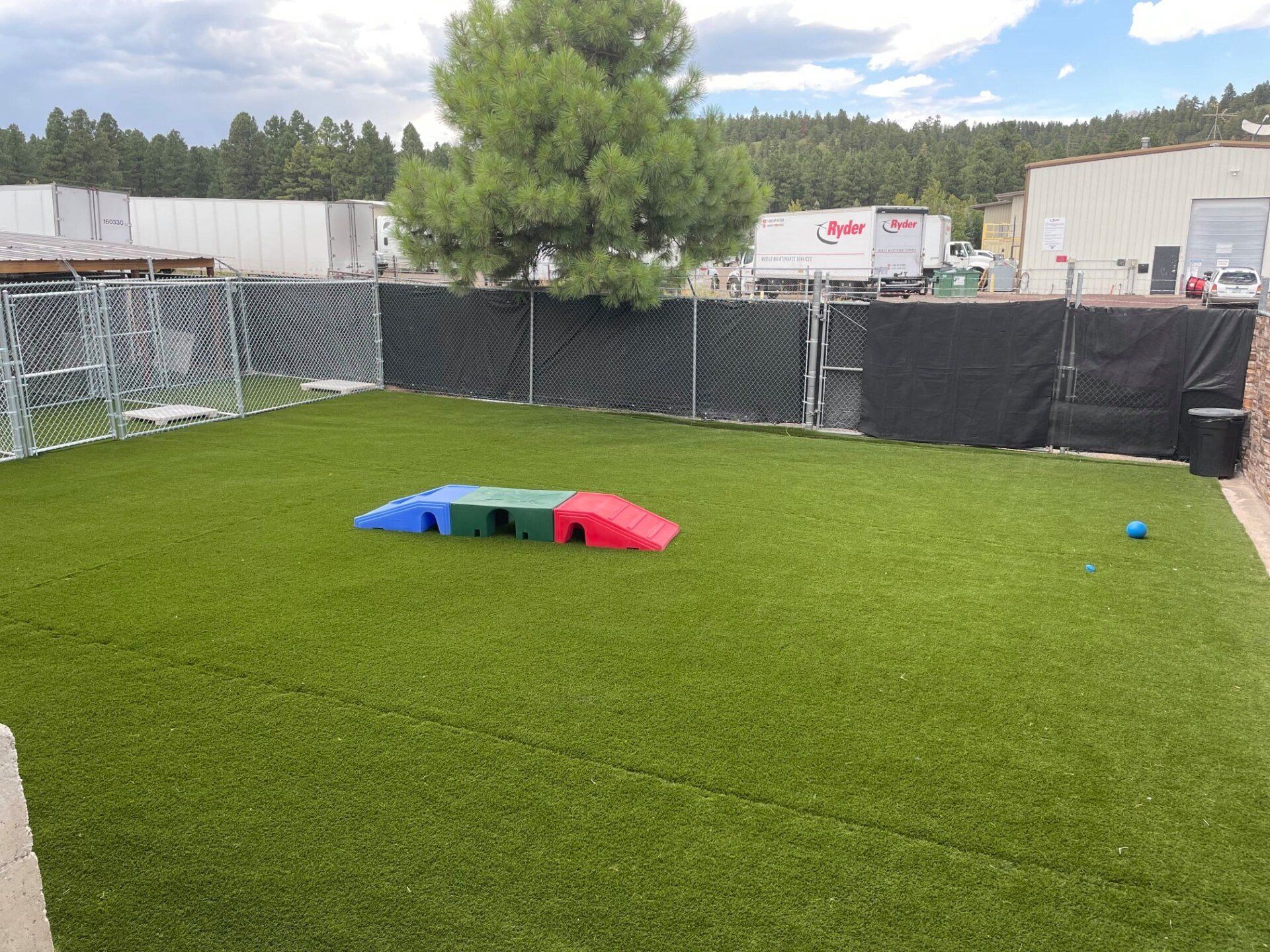 outside obstacle back yard