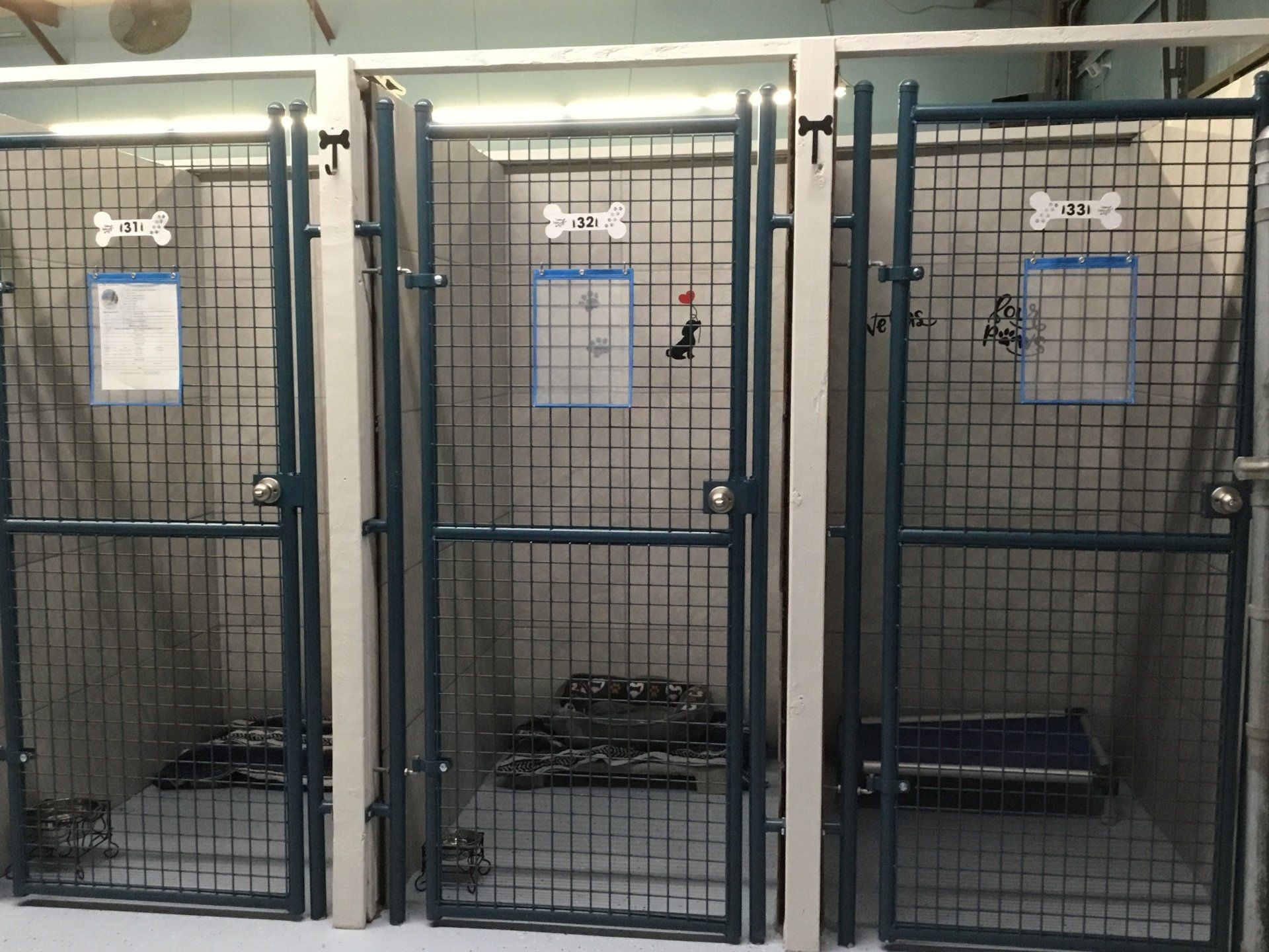 full length kennels